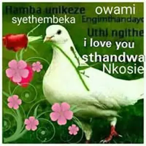 Syethemba Nkosie