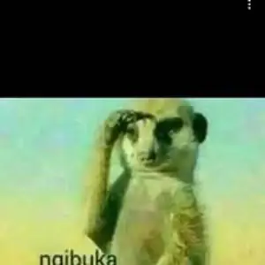 Nokulunga Ndala