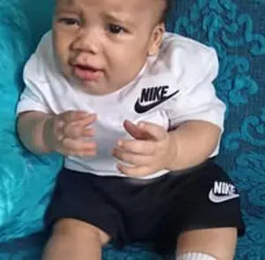 Allistair Cat Dolley