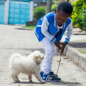Junior